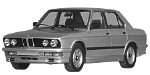 BMW E28 B252A Fault Code