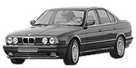 BMW E34 B252A Fault Code
