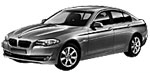 BMW F10 B252A Fault Code